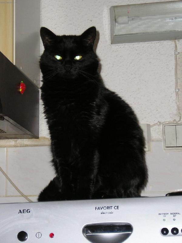 Foto: ...naše modelka