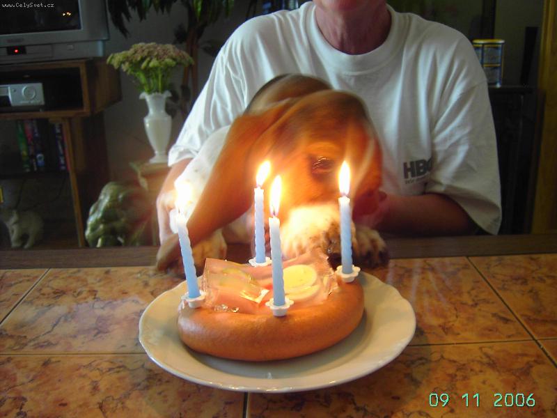 Foto: Oslava narozenin-Už jsou mi 4. roky!