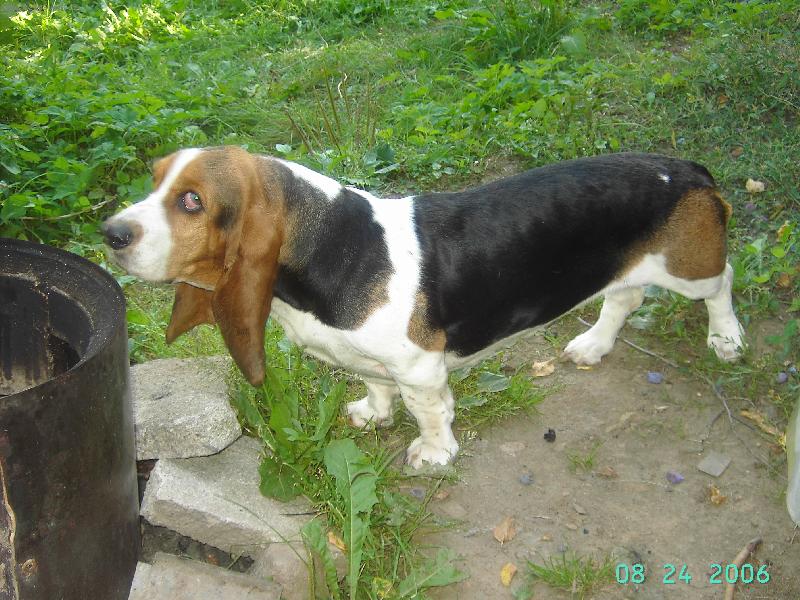 Foto: grilování-vidí mě ta panička nebo ne?