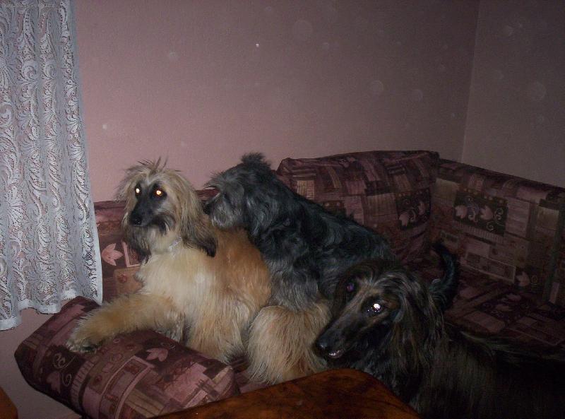 Foto: a j�j�-Co to d�laj�?:o))