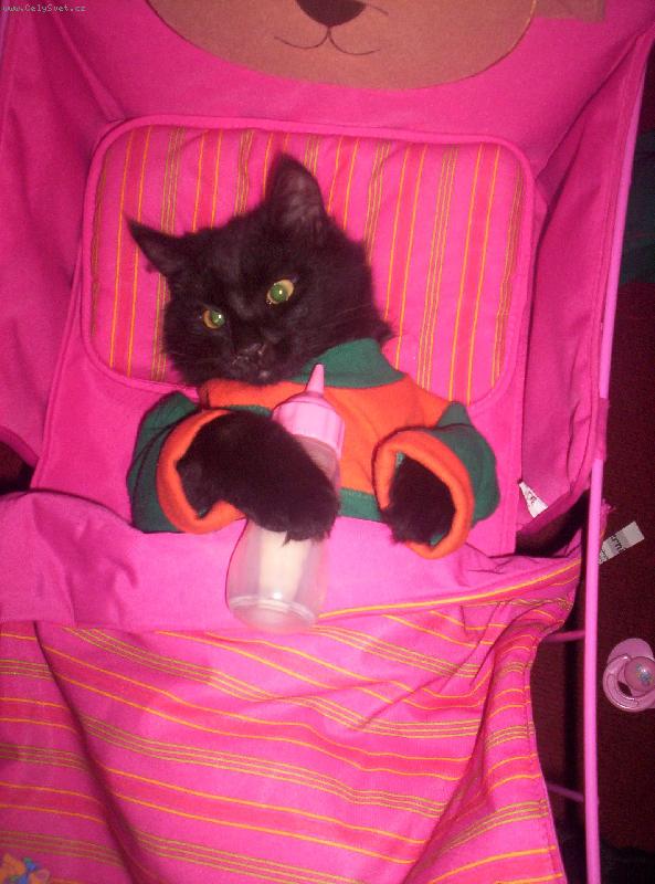 Foto: Mikýsek hajá