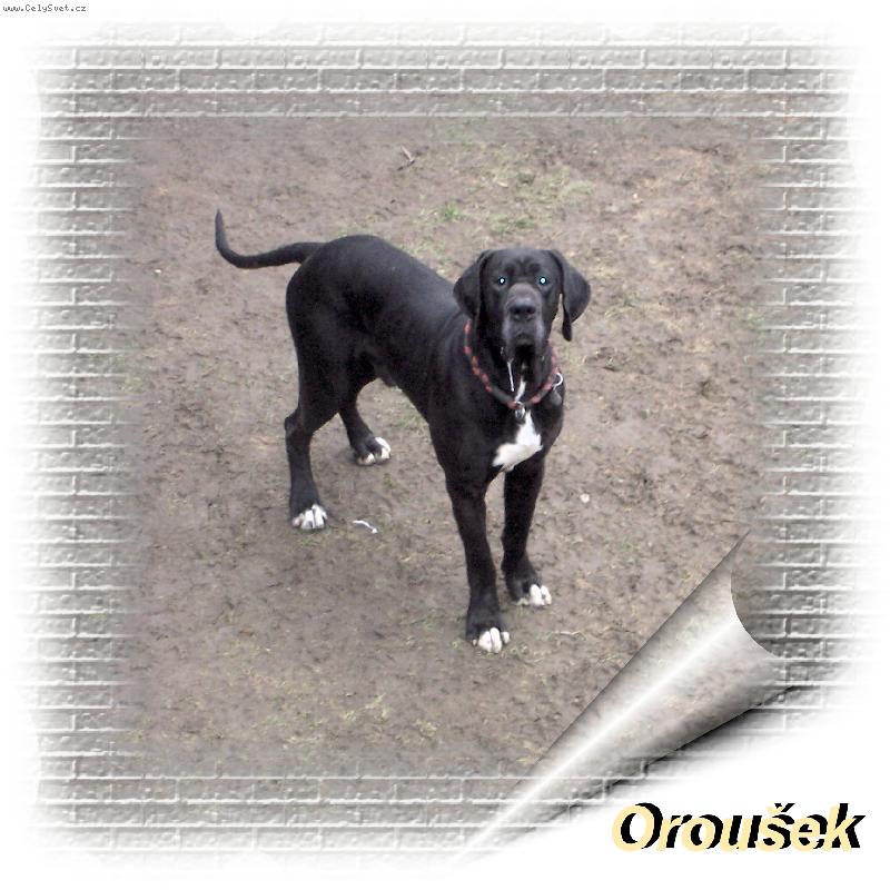 Foto: Orleans Jackův smích