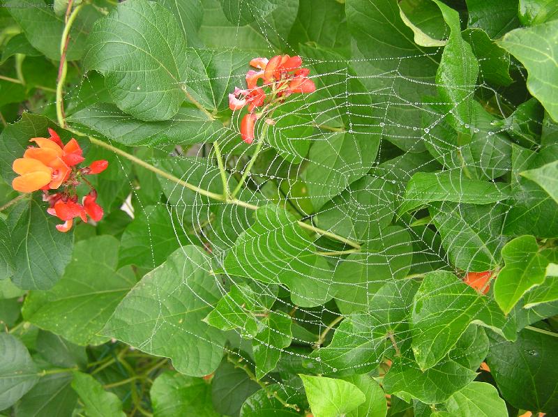 Foto: Tomu ��k�m poctiv� pr�ce