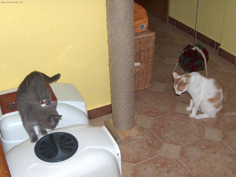 Foto: Bertík a Mikeška-Tak který je můj a který tvůj?