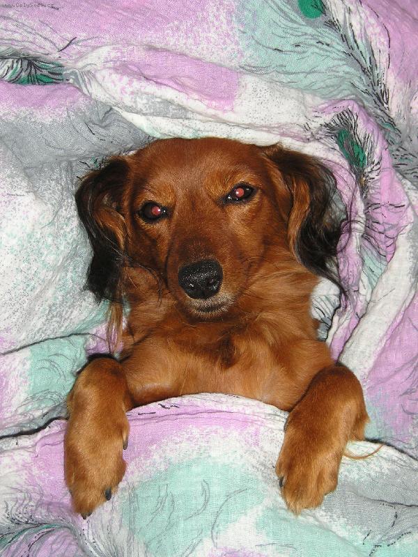 Foto: ..ještě 10 minut...:)-Nelinka