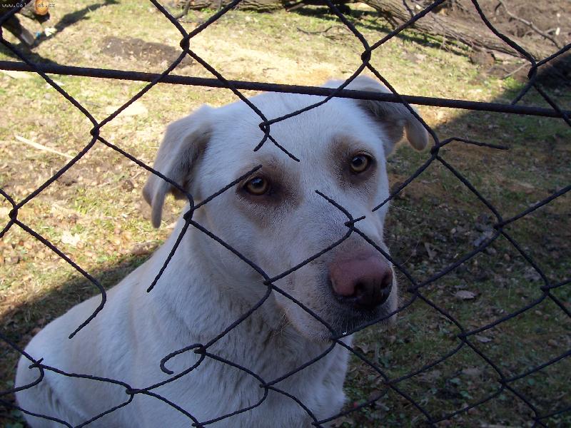 Foto: Vra se domů-Tinečka