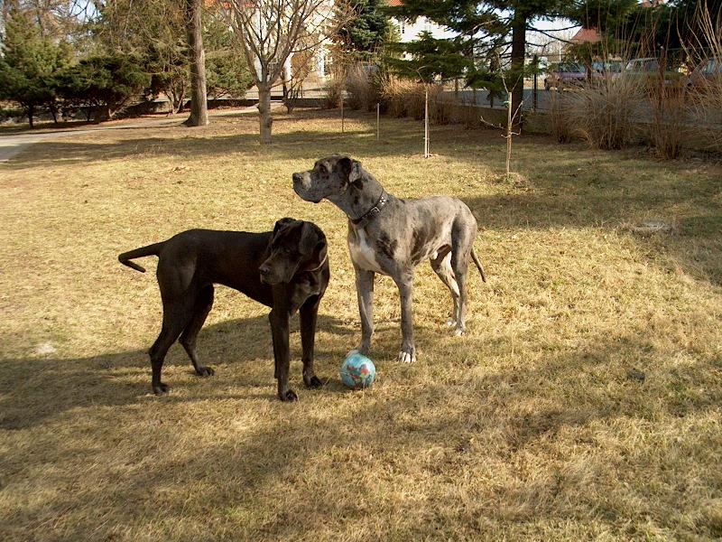 Foto: Nuflo a Betty-námluvy