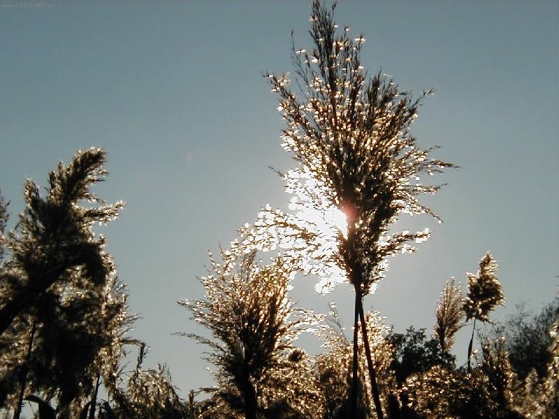 Foto: Schované slunce-Začínající podzim