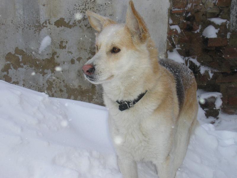 Foto: Dag-Hrátky ve sněhu