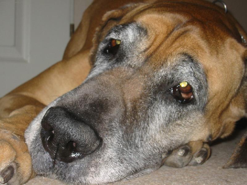 Foto: Vikinka-pohled který jsme nade vše milovali ...