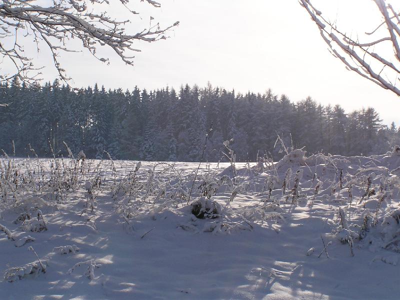 Foto: Zima na Vysočině