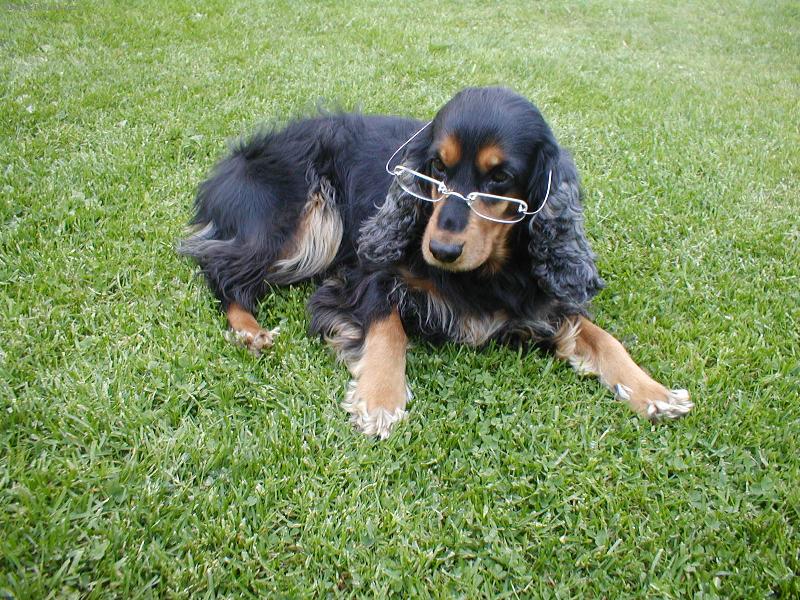 Foto: Už na vás vidím !!