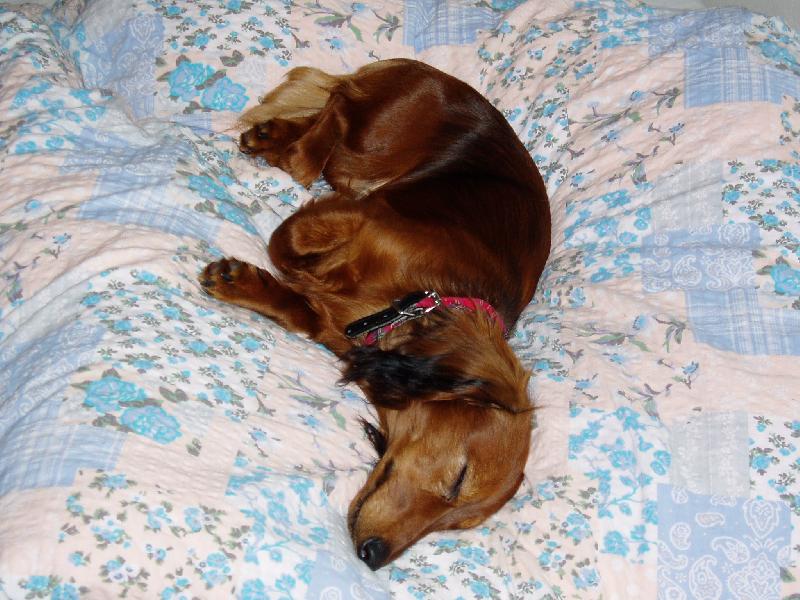 Foto: Pohoda klídek a leháro