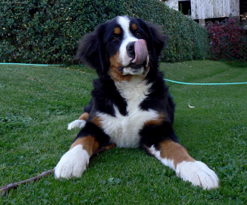 Foto: Sním tě!-To byla dobrota! :)