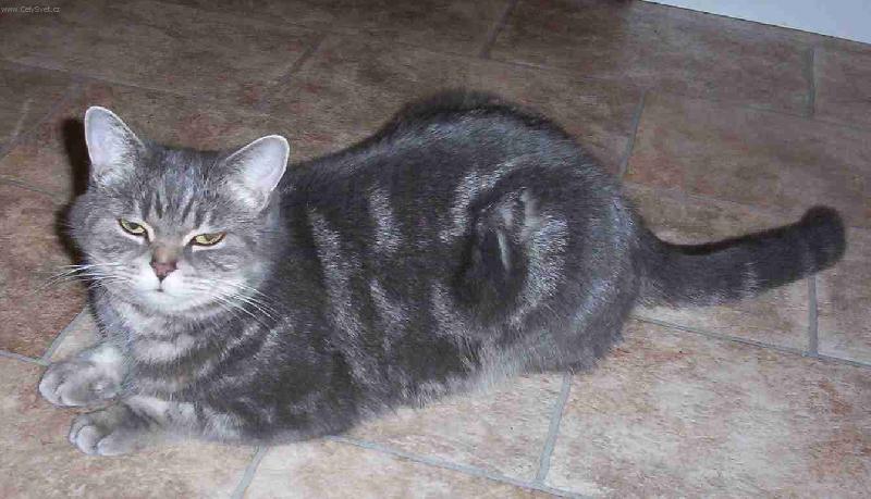 Foto: Kristýna-.:v kuchyni:.