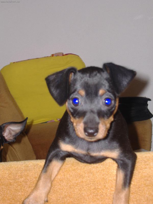 Foto: Naše modroočko