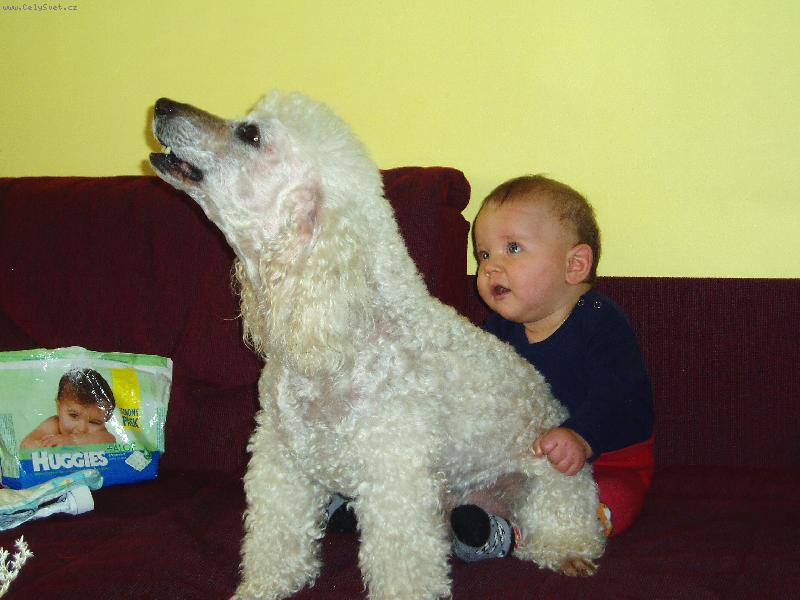 Foto: Willy a Kubíček-Ke Kubovi vás nepustím,to vůbec nevadí,že mě trhá chlupy,stejně mě střiháte.