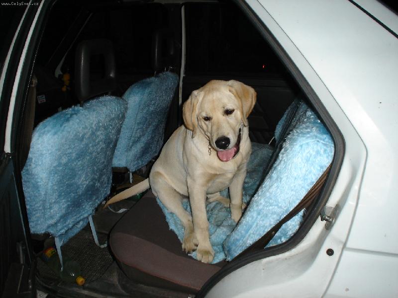 Foto: No nejsem roztomilý?