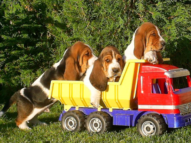 Foto: Vyrážíme-Tak se pořádně držte,jedem do světa!