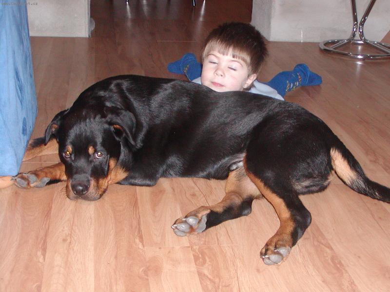 Foto: Unavení-Daniel a Arwen po náročném dni