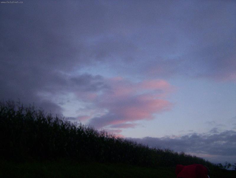 Foto: nebe a kukuřice