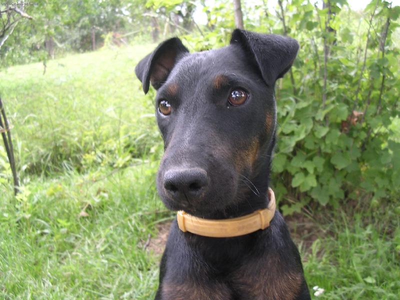 Foto: Cita z Landštejna