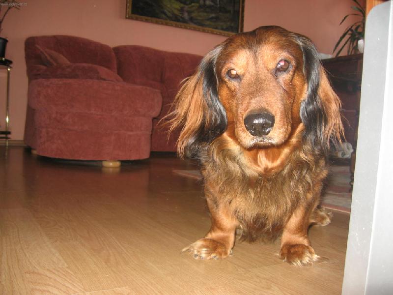 Foto: Bebínek-Chcete mě?