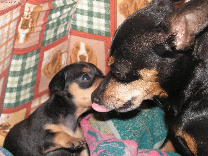 Foto: Eny a maminka Peggy-Ještě pusinku a alou na kutě...