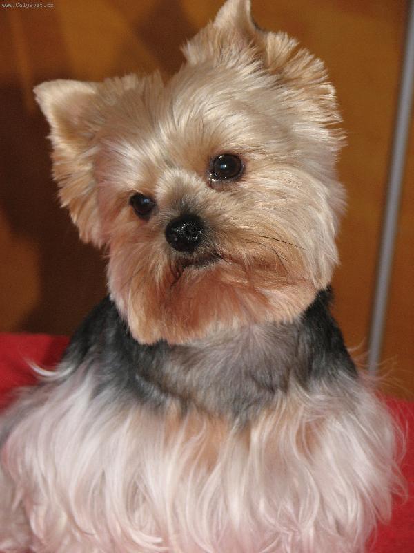 Foto: ELINKA-Naše holčička-Zˇe sem ale krásná???