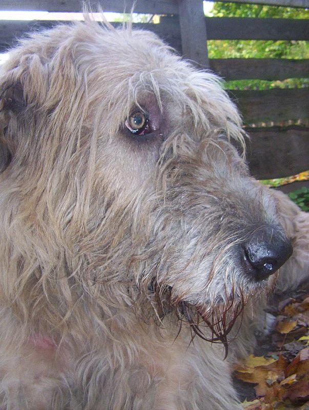 Foto: Zamyšlení-...