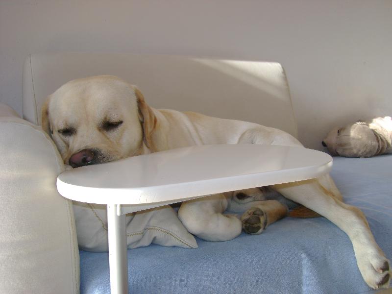 Foto: Další pivo prosim