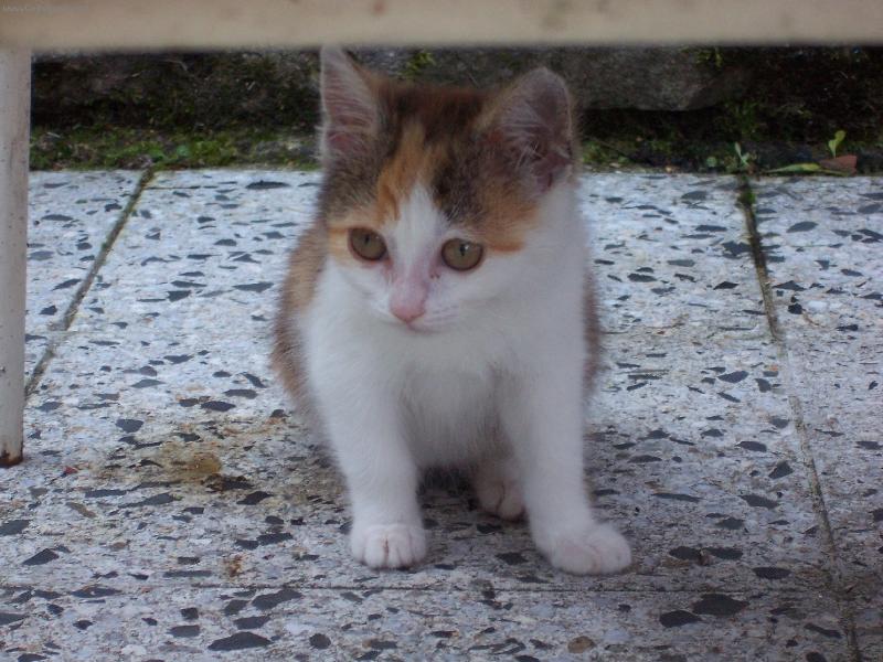 Foto: Peggy-Vzpomínka na mládí