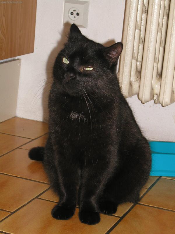 Foto: Mikeš-Láska, co už je v nebi