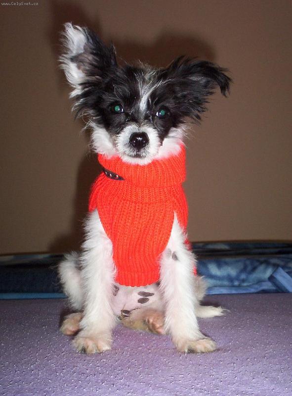 Foto: frajerečka-připravena na zimu, nevadí že je květen