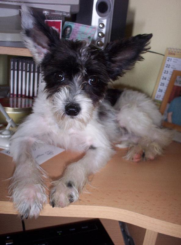 Foto: píšeme email-píšeme email