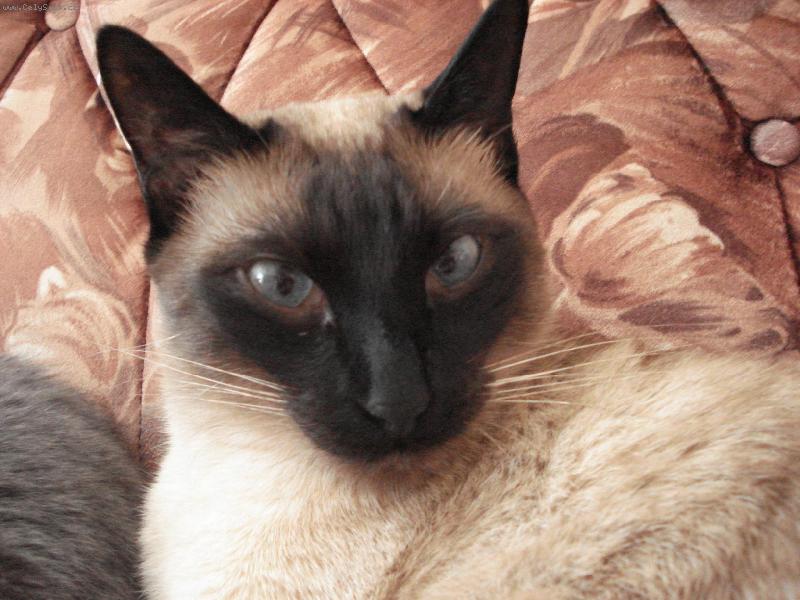 Foto: mikešek po probuzení:-)