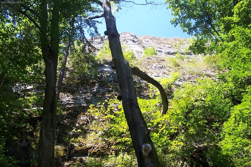 Foto: Dovolen� na Maco�e-Roste houbi�ka do neb��ka