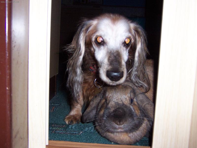 Foto: Vítejte u nás.