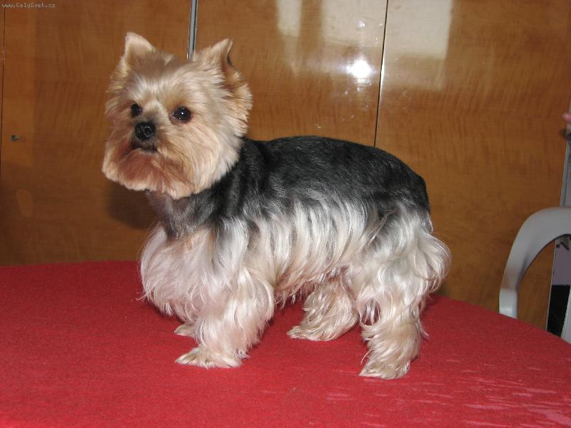 Foto: Elizabetka-Pojď si hrát