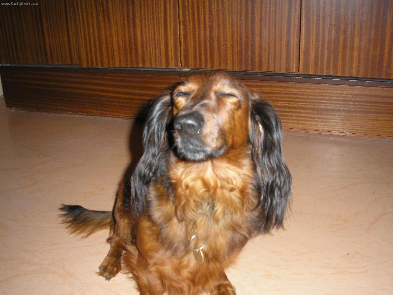 Foto: Beník-V pohodě