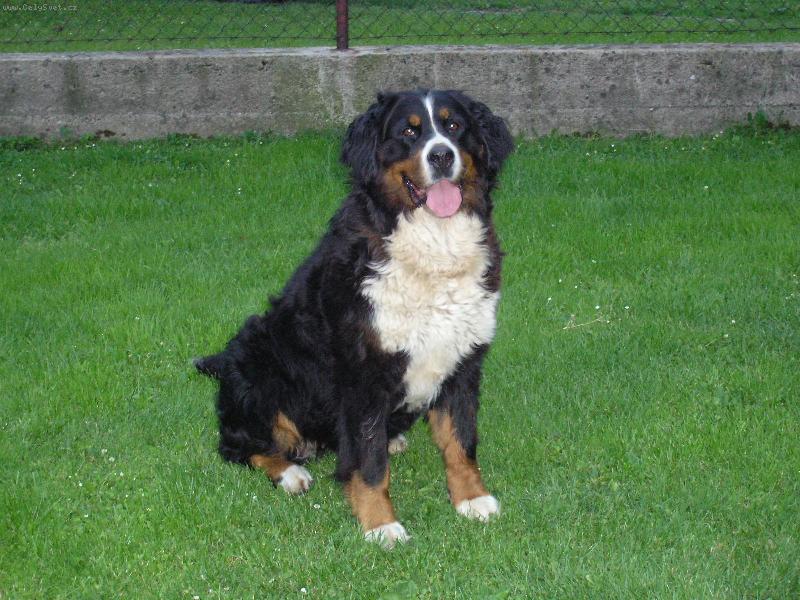 Foto: Tak to je odepolední siesta-tak tohle je můj plišáček