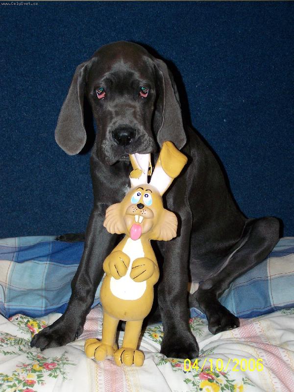 Foto: Já a můj nejlepší kamarád-Kupodivu se u nás kamarád zdržel jen několik málo dní....