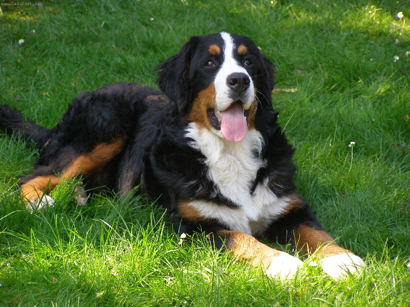 Foto: Elisa ze Staměřic