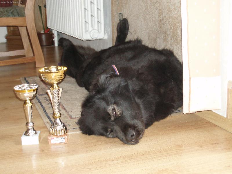 Foto: Odpočinek-a mám výstavu za sebou