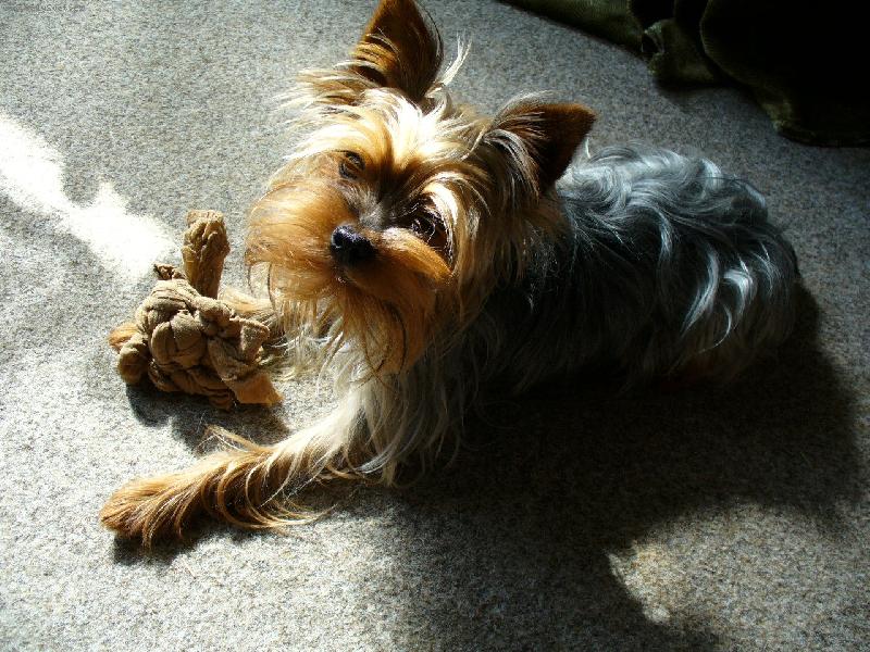 Foto: náš Ellýšek