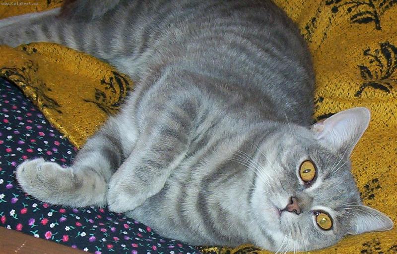 Foto: Náš Chico-Strašně rád se fotíííím!!!! :-)