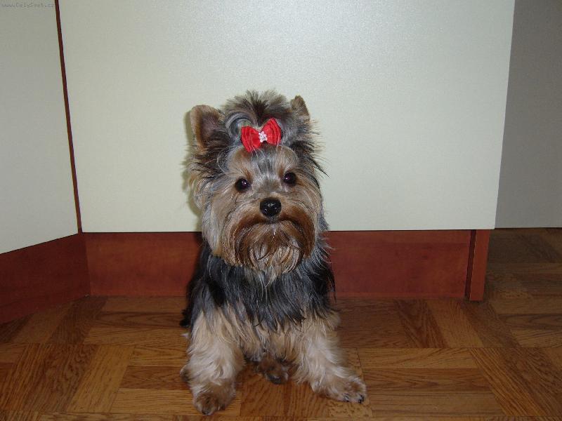 Foto: Sendynečka-Úsměv prosím.....