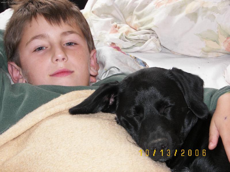 Foto: Kamarádi-Ve dvou se to lépe táhne...