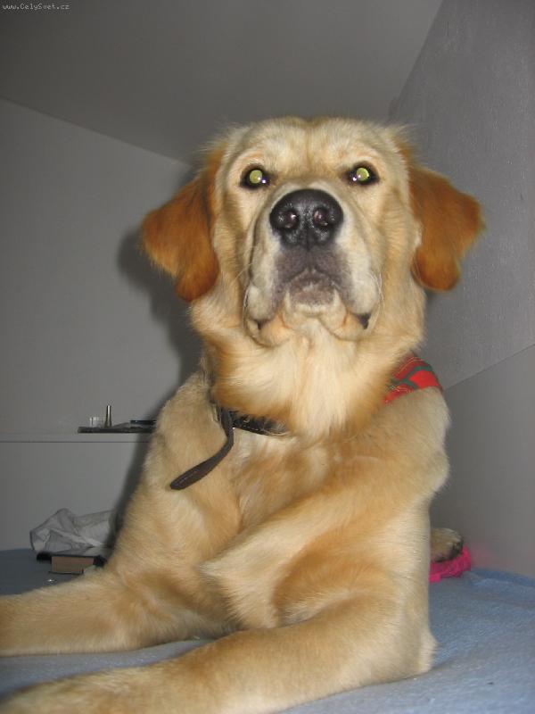 Foto: Arny-Moje, jenom moje postel