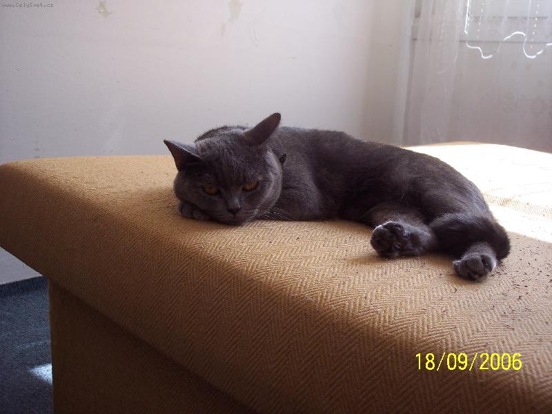 Foto: Naše malá princezna